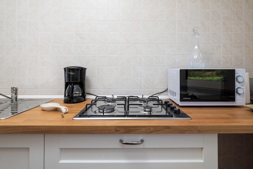 Panoramic House | Private kitchen | Full-size fridge, microwave, stovetop, espresso maker