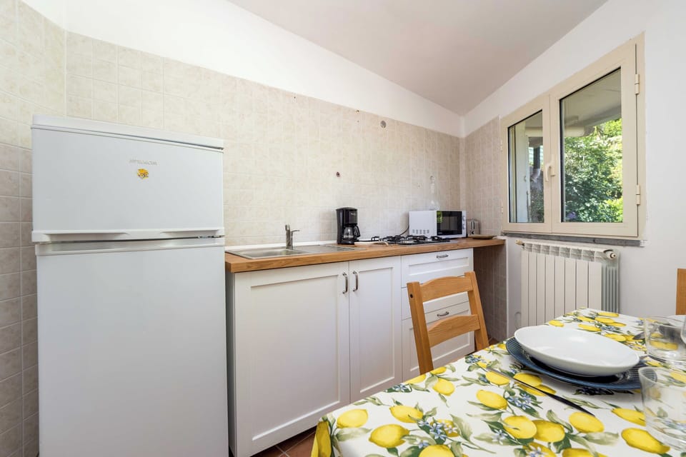 Panoramic House | Private kitchen | Full-size fridge, microwave, stovetop, espresso maker