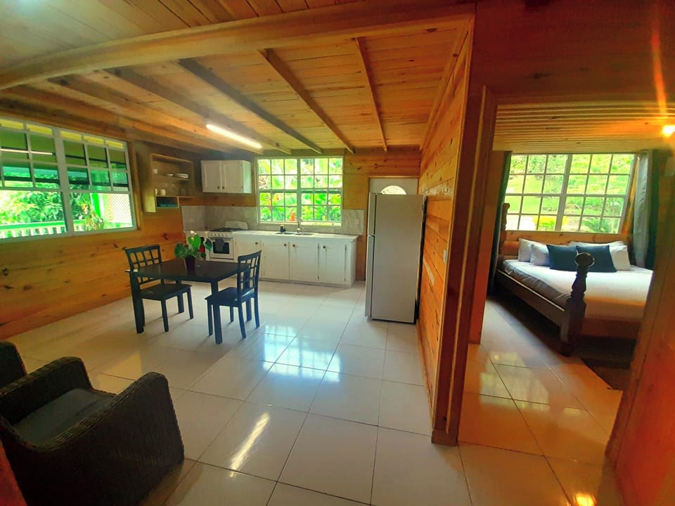 Basic Cottage | Living area | 16-inch Smart TV with digital channels, Netflix, Hulu