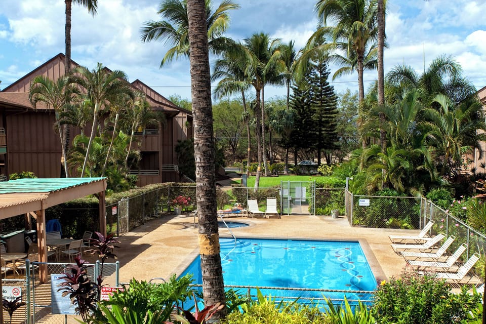 The property features a welcoming communal pool surrounded by palm trees and tropical landscaping, providing a relaxing outdoor space for guests within a well-maintained resort setting.