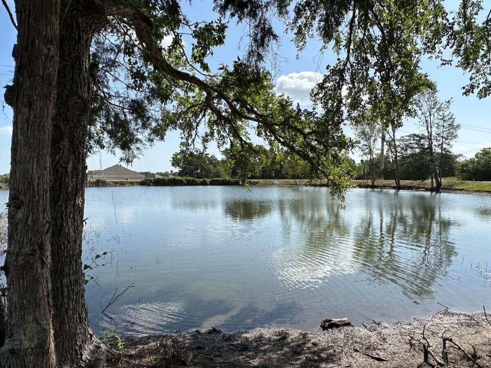 View of a near by pond.