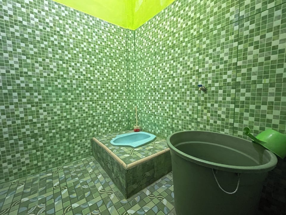 Twin Room | Bathroom | Shower, towels