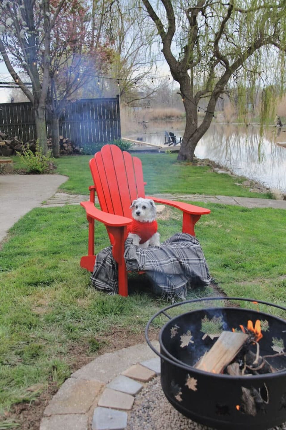 We are pet friendly!