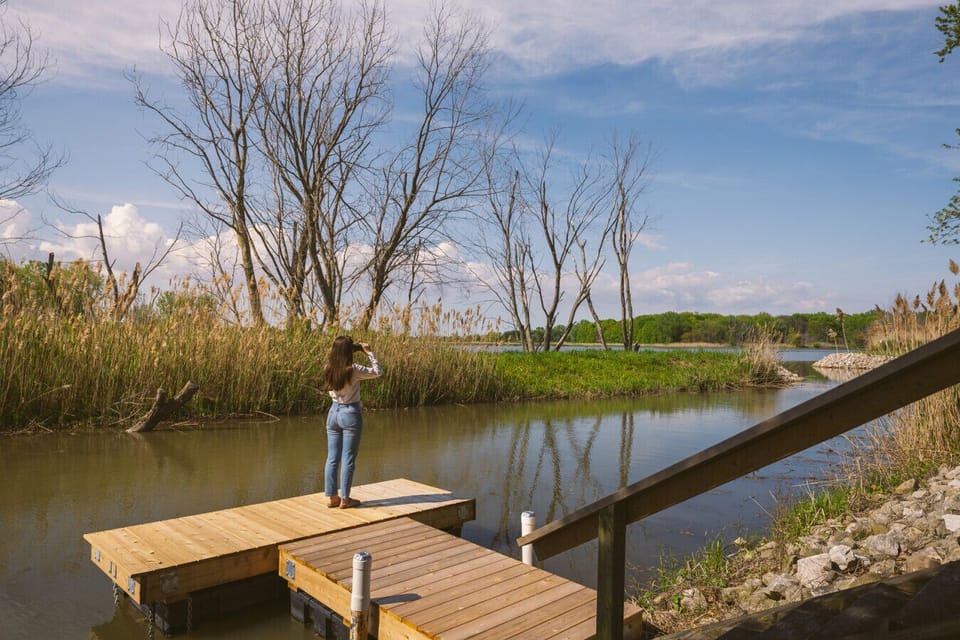 The perfect place to enjoy some birding!