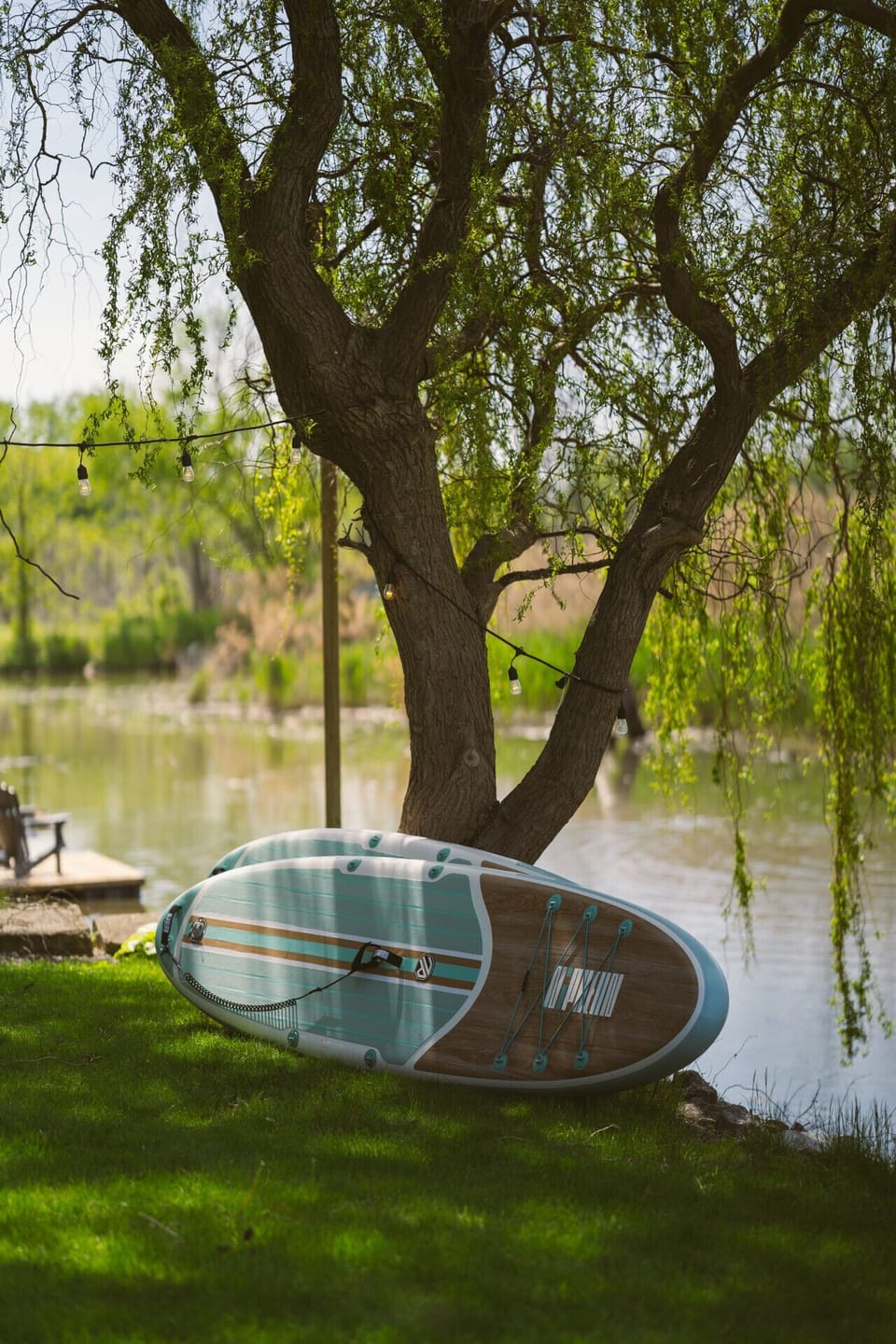 Take our paddle boards out into the conservation area!