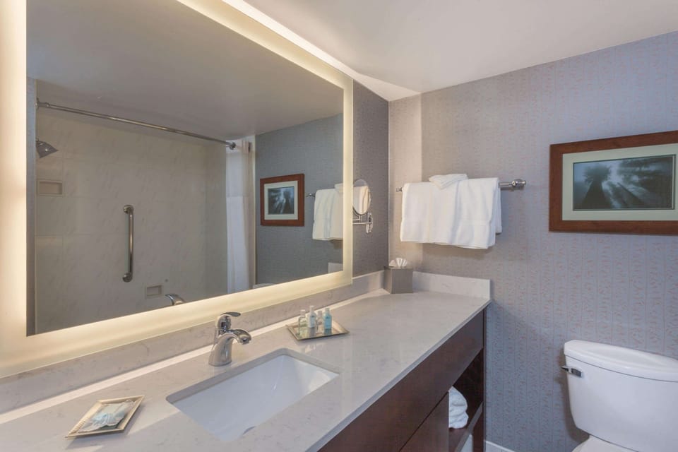 Combined shower/tub, eco-friendly toiletries, hair dryer, towels