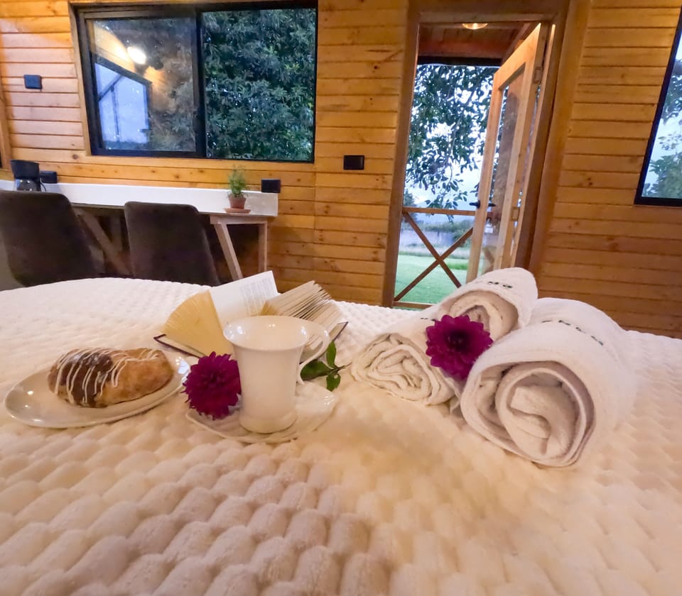 Deluxe Studio Suite | Premium bedding, down comforters, minibar, in-room safe