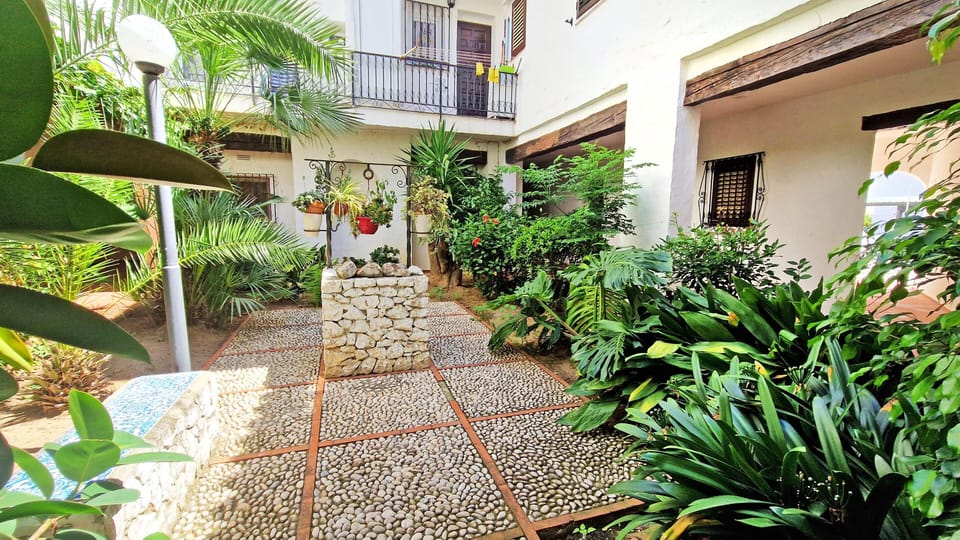 Estudio Andaluz - 14