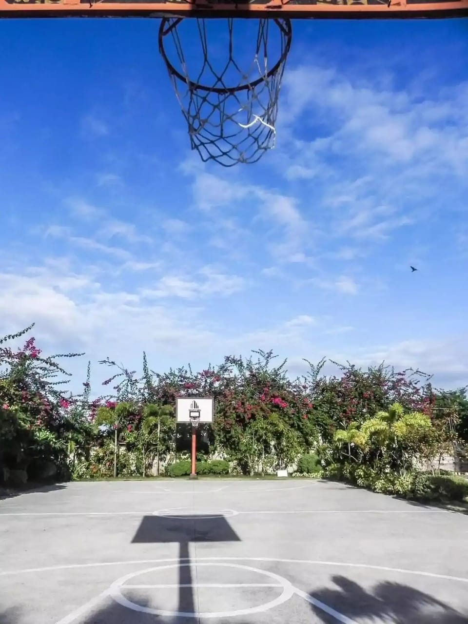 Sport court