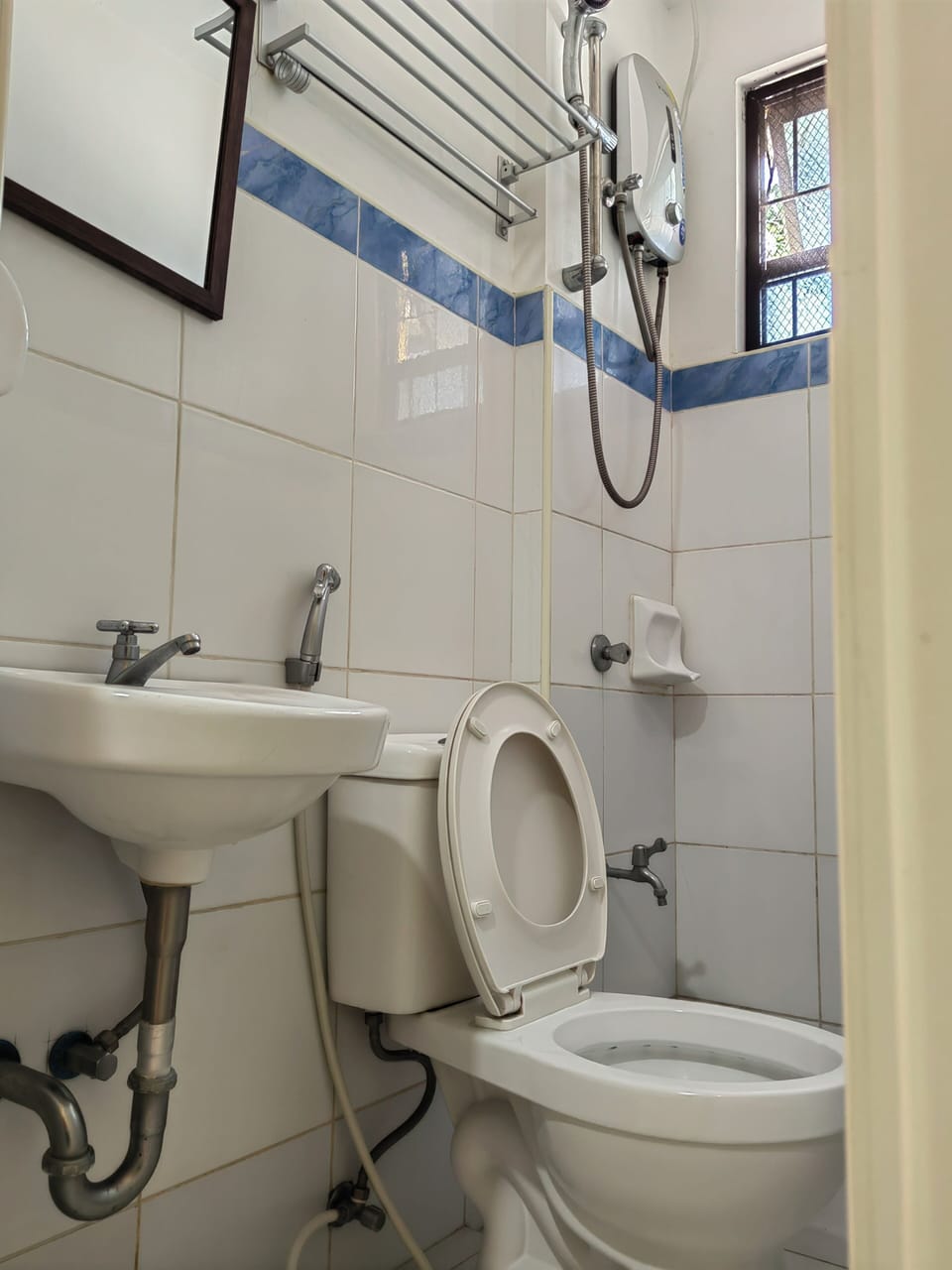 Deluxe Suite | Bathroom | Shower, free toiletries, bidet, towels