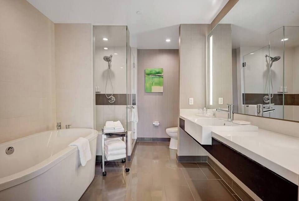 Luxury Bathroom (2)