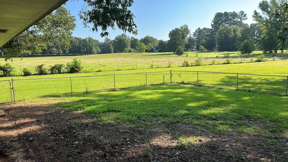 Back yard