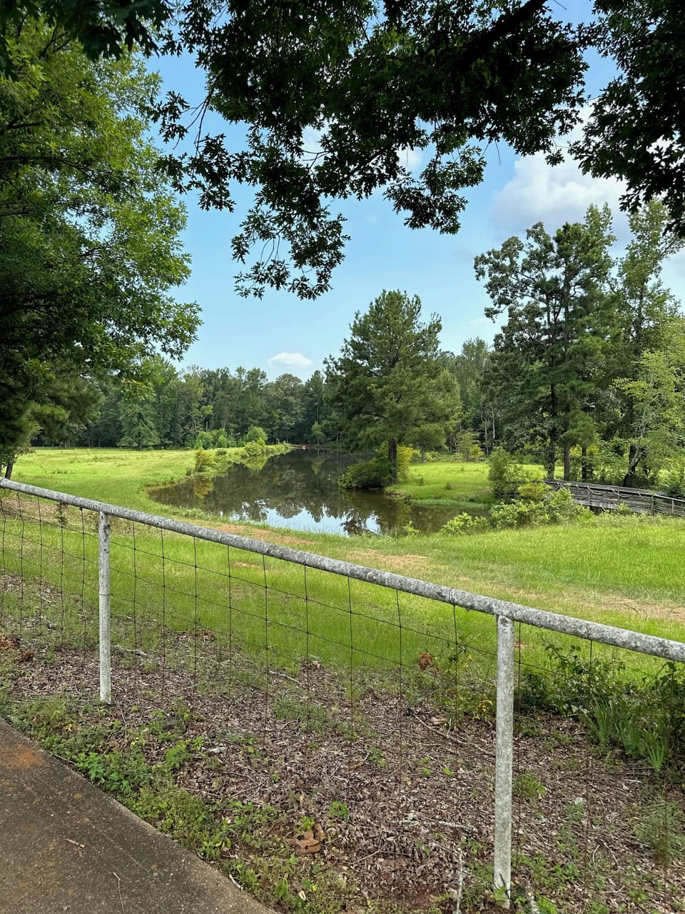 Neighboring farm and pond