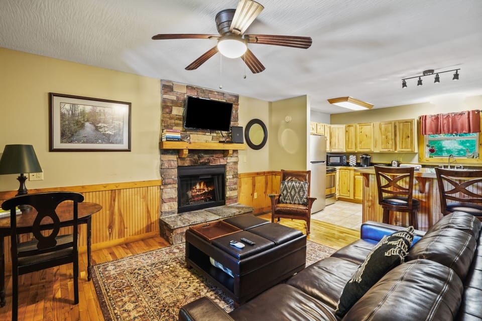 Living Room / Lounge