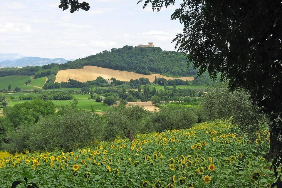 View from Holiday Home [summer]