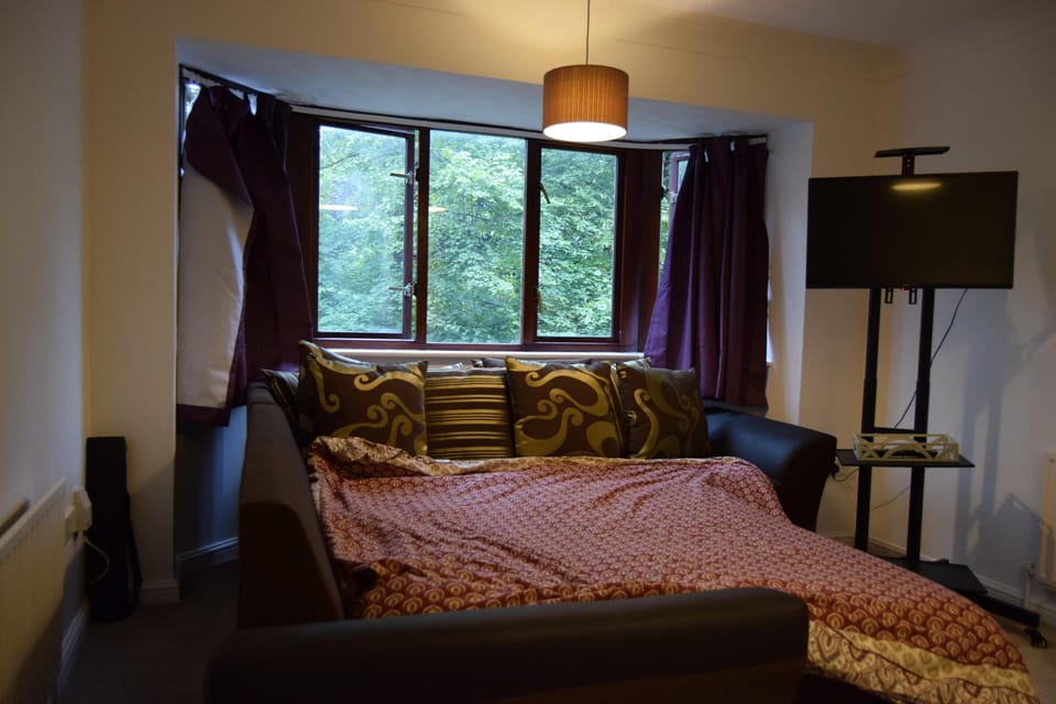 1-bed Apartment in Croydon -free Parking, Wifi Apartment in Croydon