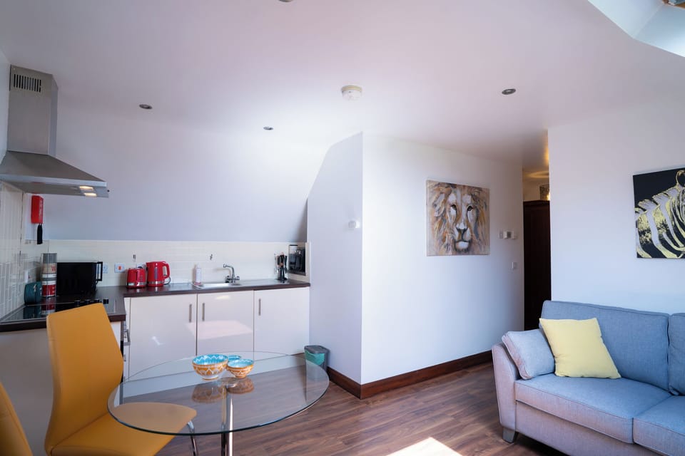 Apartment | Private kitchen | Fridge, microwave, oven, stovetop