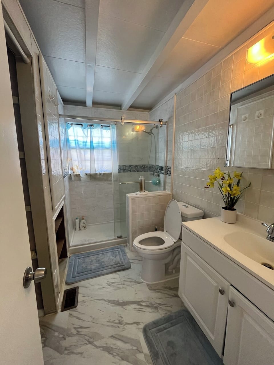Guest Bathroom Stand up shower