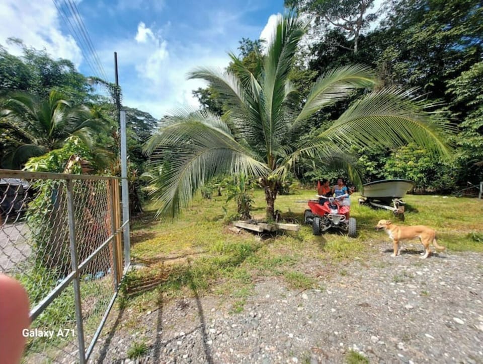 Property grounds