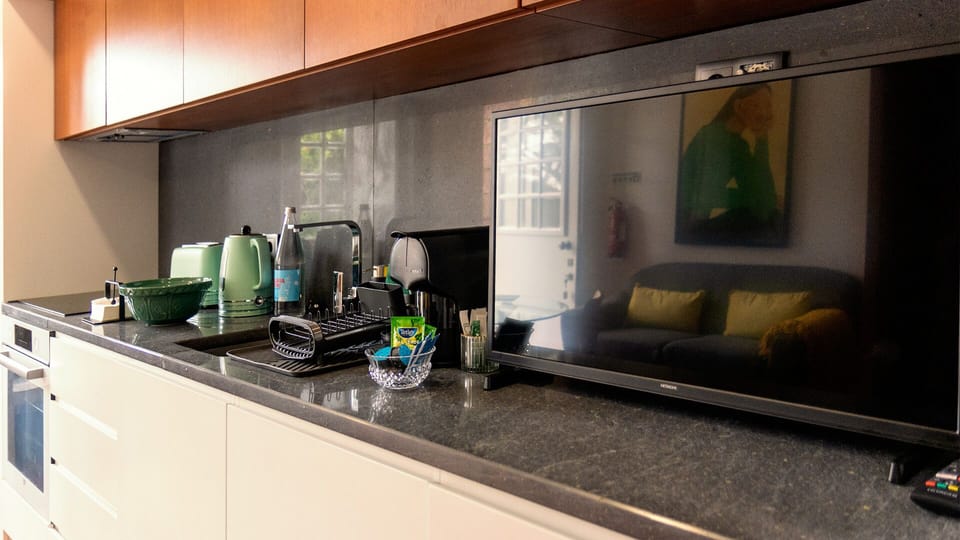 Standard Studio | Private kitchen | Full-size fridge, microwave, oven, stovetop