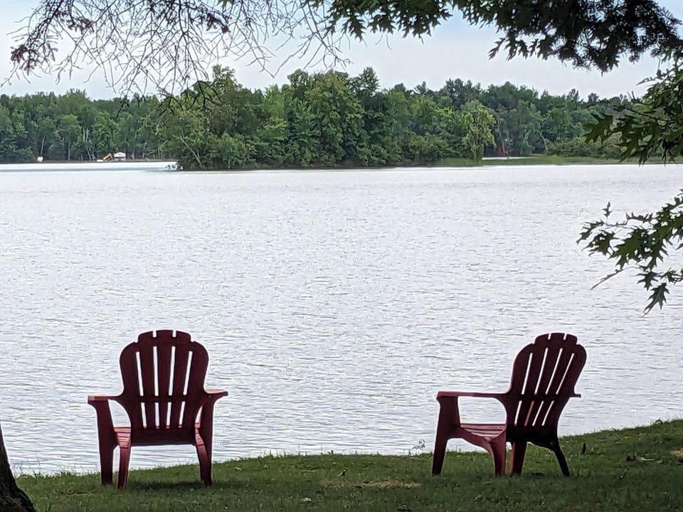 Shoreline view
