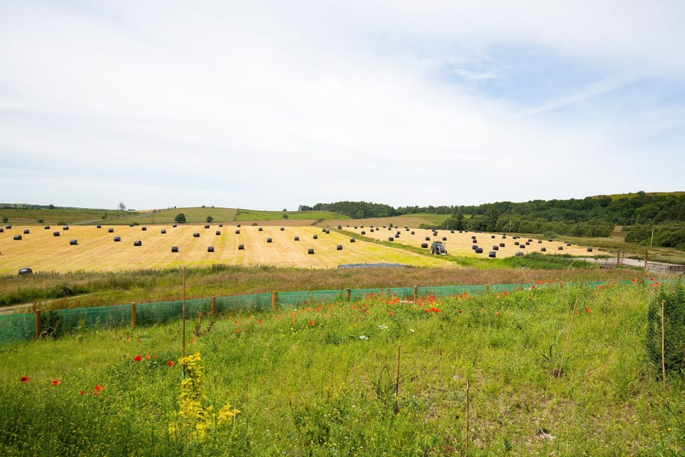Fell End - farmland surrounds the property