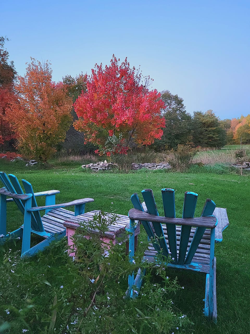 Fall view!  Looking out back, up the field.