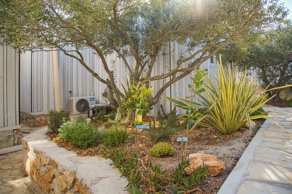 Villa | Property grounds
