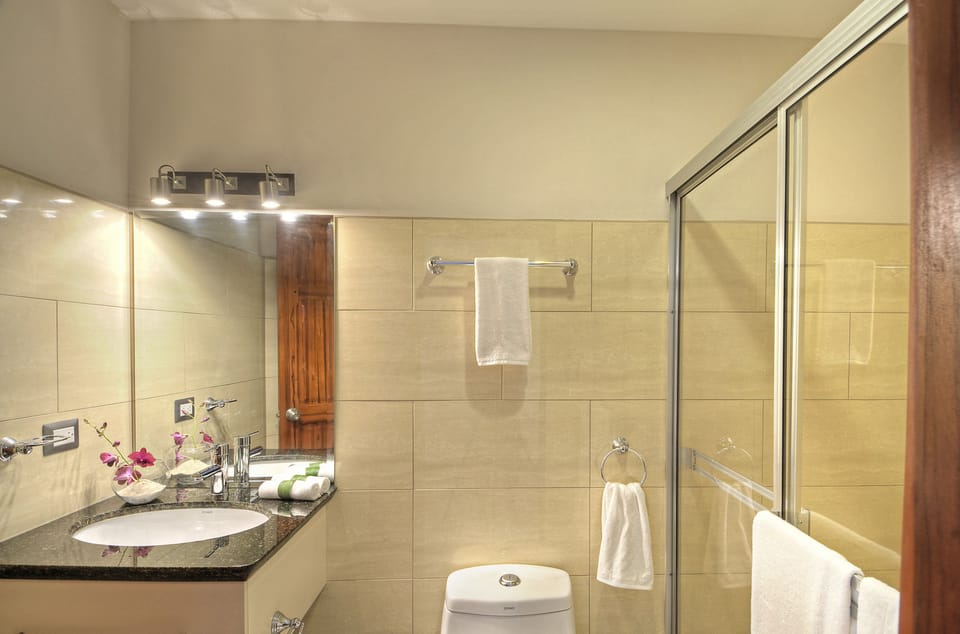 Shower, free toiletries, hair dryer, towels