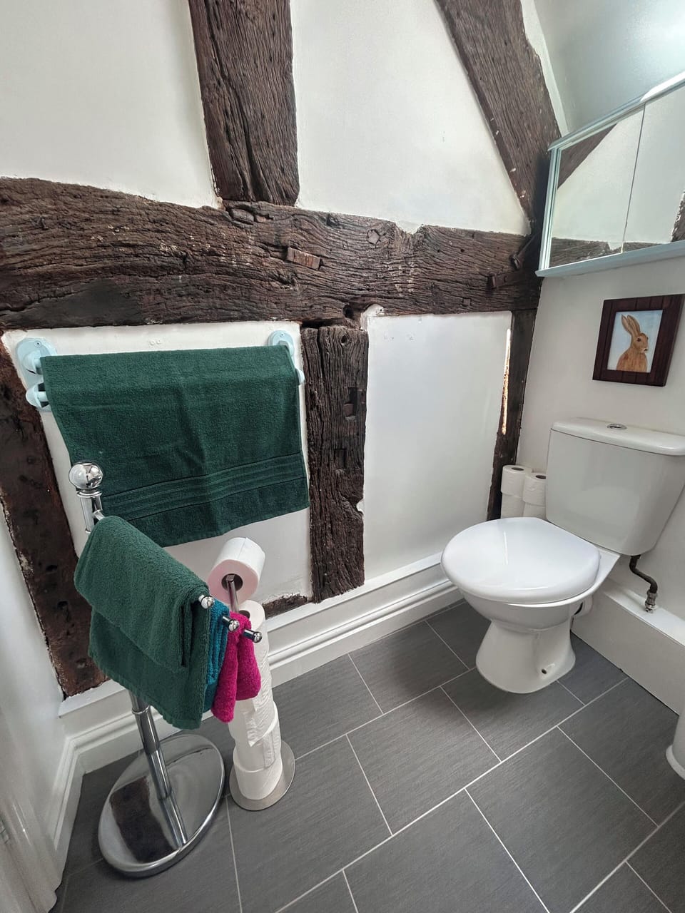Combined shower/tub, free toiletries, hair dryer, towels