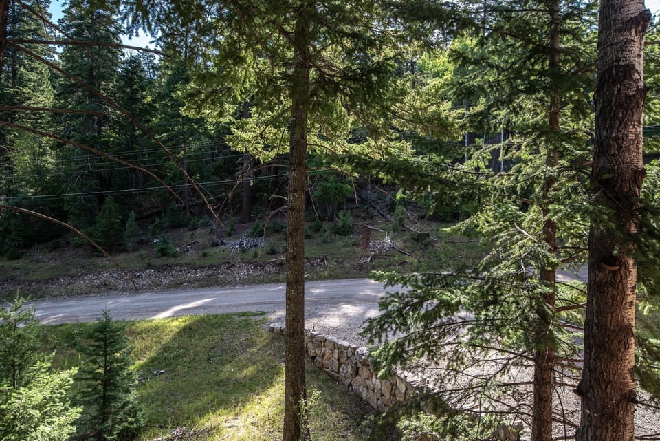 Driveway entrance.