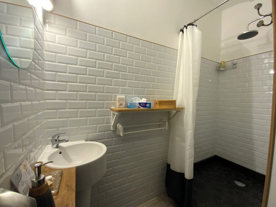 Comfort Double Room | Bathroom | Shower, rainfall showerhead, hair dryer, towels