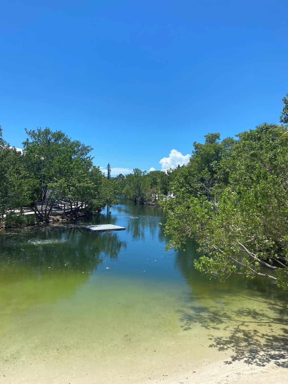 Lagoon beach