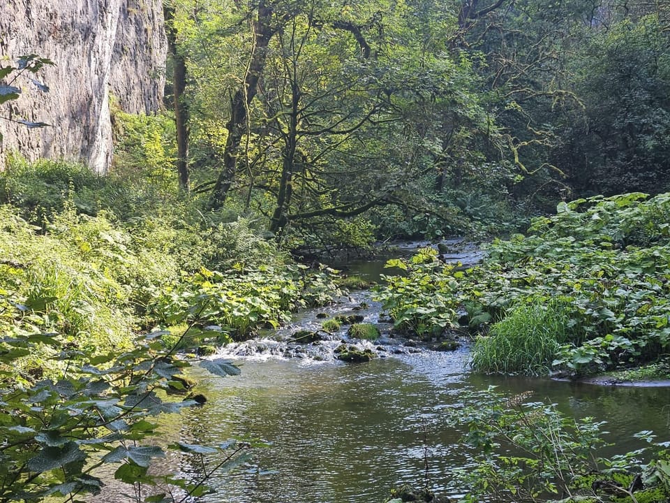 Image 30