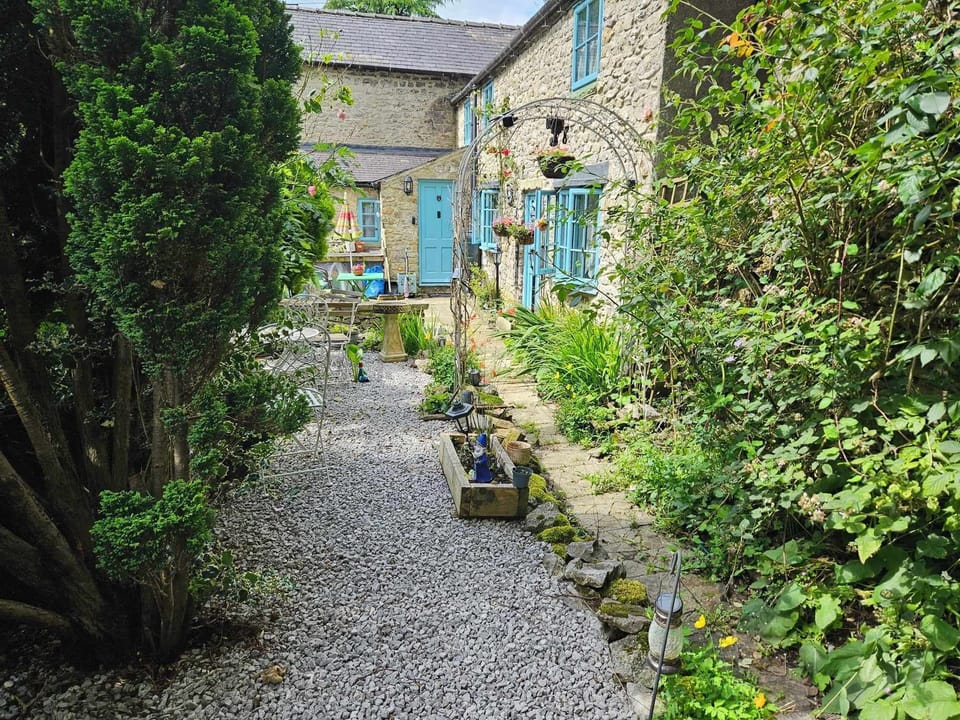 Image 11