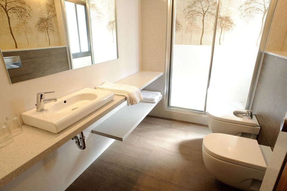 Hair dryer, bidet, towels