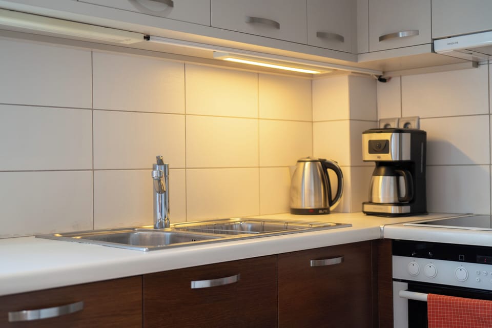 City Apartment | Private kitchen | Fridge, microwave, oven, stovetop