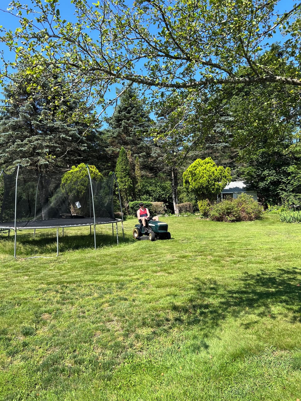 Well maintained property grounds