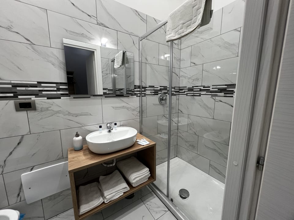 Shower, hair dryer, bidet, towels