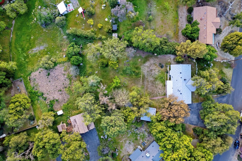 Small grey rooftop of casita just visible tucked away under the oaks. 