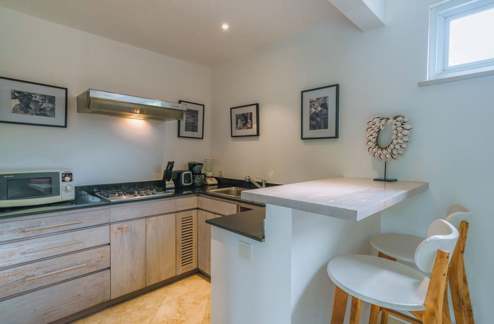 Luxury Villa | Private kitchen | Fridge, microwave, stovetop, toaster