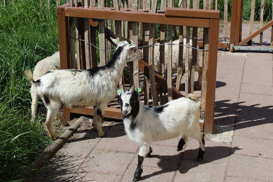 Holiday Park Facilities and Services 