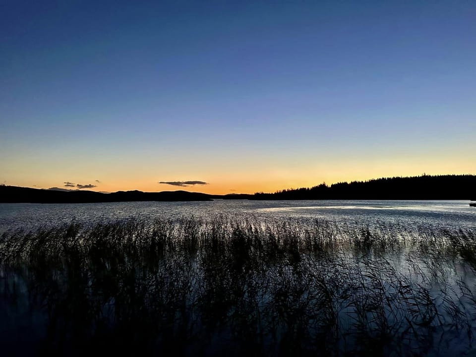 Watching the world go by at sunset.