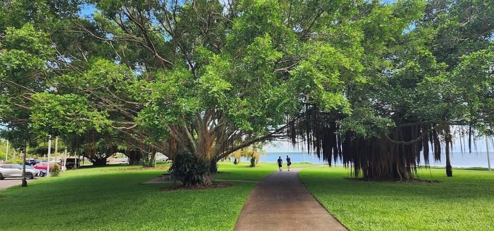 Stroll along the Cairns Esplanade, where shaded walking paths, waterfront views and tropical greenery create the perfect start or end to the day.