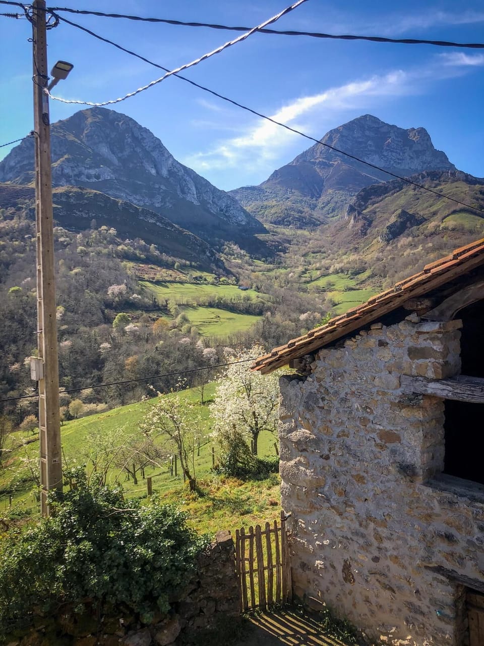 View from property