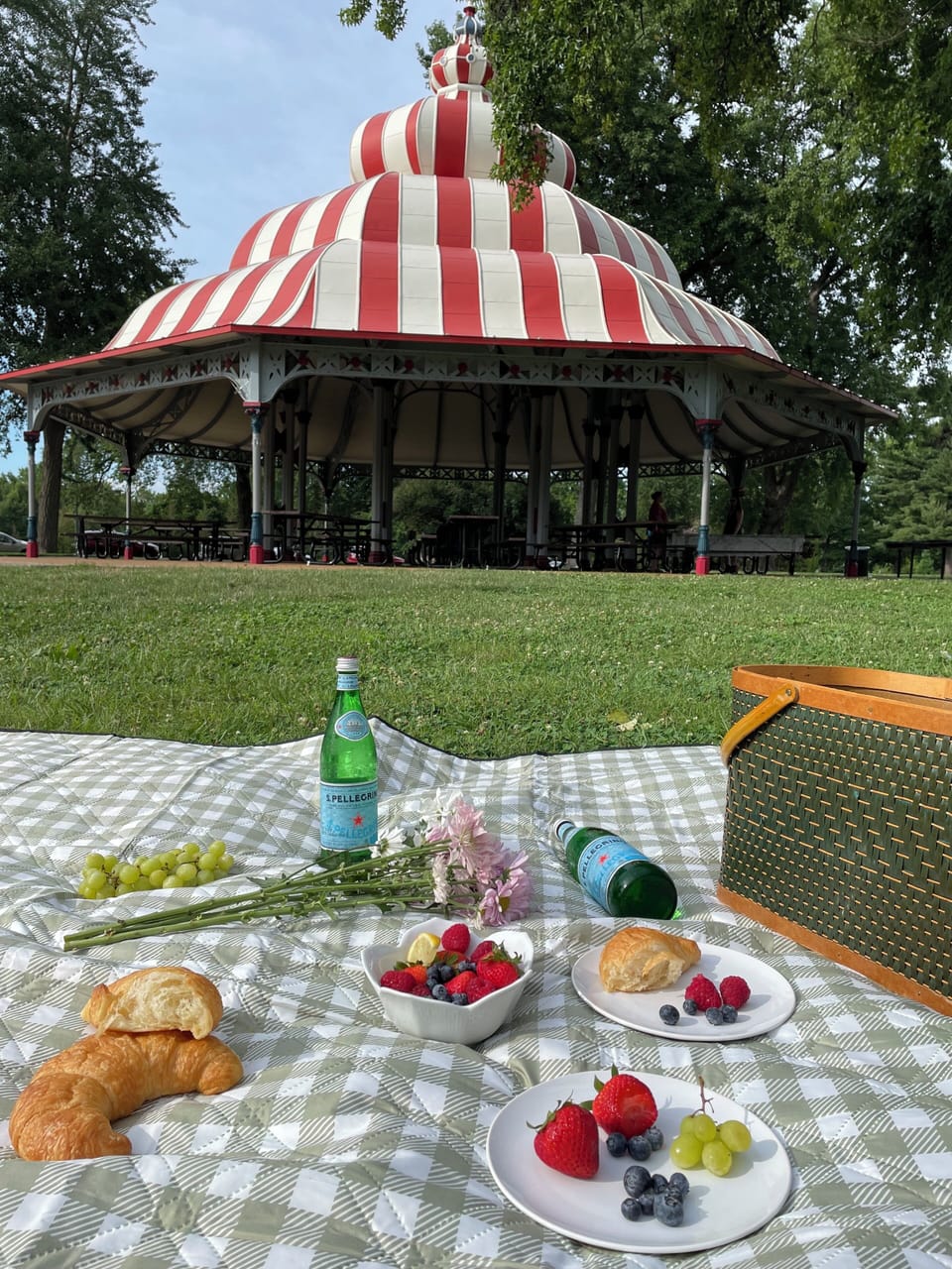 The home is just a few steps away from the renowned Tower Grove Park.