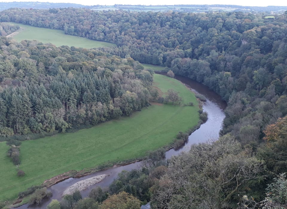 Cottage | Aerial view
