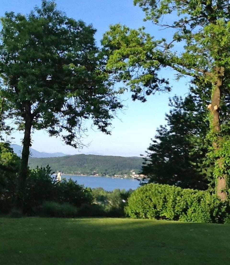 Scenic View