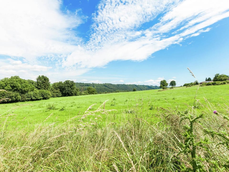 Region [summer] (>5 km)