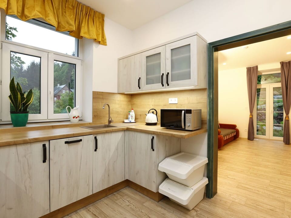 Cabinetry, Kitchen Sink, Countertop, Plant, Wood, Houseplant, Kitchen Stove, Kitchen, Home Appliance, Sink
